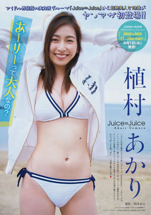 [Young Magazine] Akari Uemura Yume Hayashi 2018 No.31 Photograph
