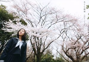 Oda Sakura "Sakura Pattern" First [Album Photo]