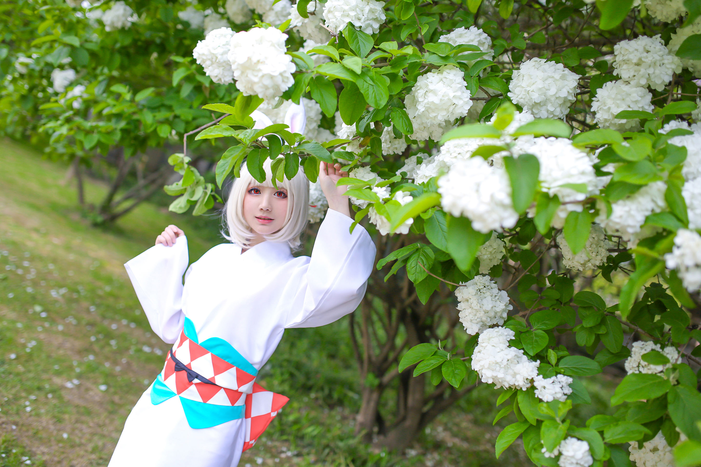 [Foto cosplay] Blogger di anime Xianyin sic - Onmyoji Mountain Rabbit Pagina 3 No.f54e8e