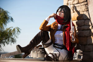 [COS Welfare] Hane Ame Rain Wave Photo — Attack on Titan