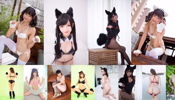 Cat girl Total 346 Photo Collection